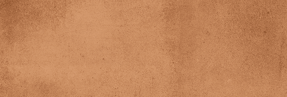 VISTA ALMOND tile face 4